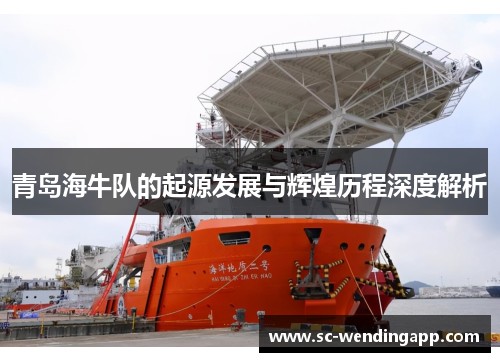 青岛海牛队的起源发展与辉煌历程深度解析 青岛海牛队的起源发展与辉煌历程深度解析