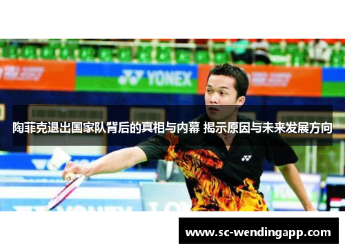 陶菲克退出国家队背后的真相与内幕 揭示原因与未来发展方向 陶菲克退出国家队背后的真相与内幕 揭示原因与未来发展方向