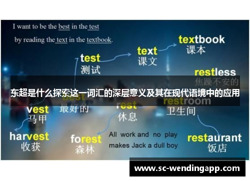 东超是什么探索这一词汇的深层意义及其在现代语境中的应用 东超是什么探索这一词汇的深层意义及其在现代语境中的应用