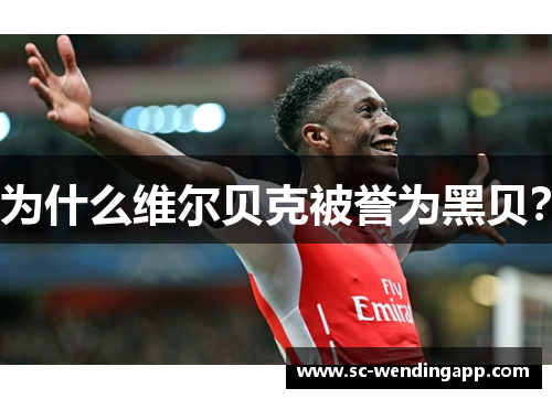 为什么维尔贝克被誉为黑贝? 为什么维尔贝克被誉为黑贝?