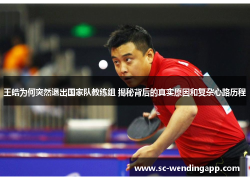 王皓为何突然退出国家队教练组 揭秘背后的真实原因和复杂心路历程
