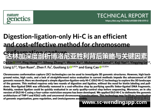 达林加深度剖析博洛尼亚胜利背后策略与关键因素