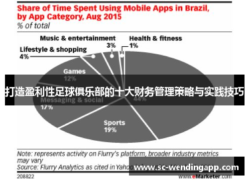 打造盈利性足球俱乐部的十大财务管理策略与实践技巧