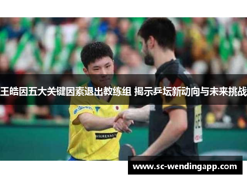 王皓因五大关键因素退出教练组 揭示乒坛新动向与未来挑战 王皓因五大关键因素退出教练组 揭示乒坛新动向与未来挑战