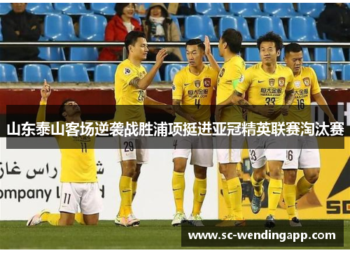 山东泰山客场逆袭战胜浦项挺进亚冠精英联赛淘汰赛 山东泰山客场逆袭战胜浦项挺进亚冠精英联赛淘汰赛