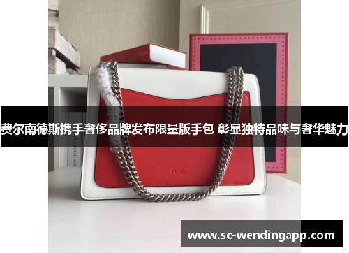 费尔南德斯携手奢侈品牌发布限量版手包 彰显独特品味与奢华魅力