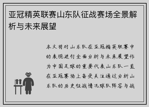 亚冠精英联赛山东队征战赛场全景解析与未来展望