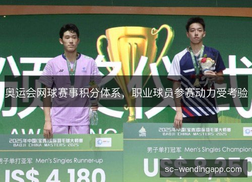 奥运会网球赛事积分体系，职业球员参赛动力受考验