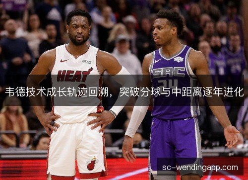 韦德技术成长轨迹回溯，突破分球与中距离逐年进化